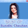 Sunidhi Chauhan Best of Sunidhi Chauhan