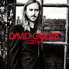 David Guetta Feat. Chris Willis Listen