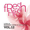 Mix Factor Fresh Hits - 2014 - Vol. 12