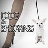 Aaron D Dog & Shopping