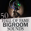 Sqeezer 50 Hall of Fame Bigroom Sounds