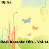 Dj Ice R&B Karaoke Hits - Vol.14