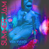 Ven Visagi Summer Jam (Radio Summer Edit) (feat. P. Lo) - Single