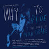 Scott Matthews Way to Blue - The Songs of Nick Drake