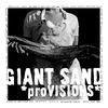 Giant Sand Provisions