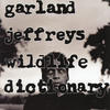 Garland Jeffreys Wildlife Dictionary