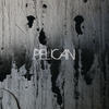 Pelican Deny the Absolute - EP