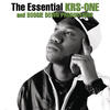 Boogie Down Productions The Essential