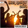Marco V Ibiza Nights 2014