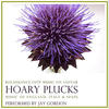 Jay Gordon Hoary Plucks: Renaissance Lute Music on Guitar