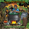 Mad Professor The Roots Of Dubstep