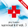 Activate Morlack Psy Trance Survival Kit, Vol. 3