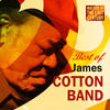 James Cotton Band Masters of the Last Century: Best of James Cotton Band