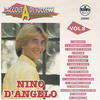 Nino D`Angelo Raccolta di successi, vol. 8 (The Best of Nino D`Angelo Collection)