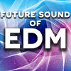 Various Artists Future Sound of Edm