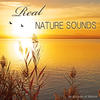 Sounds Of Nature Real Nature Sounds