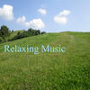 Maya Relaxing Music, Vol. 5 (Total Relax Spa Music)