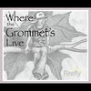 Where the Grommet`s Live Fire Fly