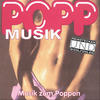 Various Artists Popp Musik (Musik Zum Poppen)