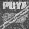 Puya Puya