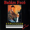 Balázs Fecó Unplugged in the Globe Royal