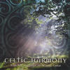 Pete Huttlinger Celtic Harmony