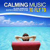 Here & Now Calming Music to Fly to (Relaxing Soundscapes Selected to Reduce Fear of Flying)