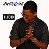 Leo Awesome (Radio Edit) - Single