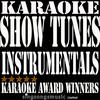 Karaoke Award Winners Show Tunes Instrumentals Karaoke, Vol. 4