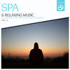 Mike Rowland SPA & Relaxing Music, Vol. 11