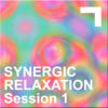 entropia Synergic Relaxation – Session 1