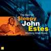 Sleepy John Estes Working Man Blues (The Best Of Sleepy John Estes)