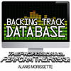 The Professionals Backing Track Database - The Professionals Perform the Hits of Alanis Morissette (Instrumental)