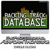 The Professionals Backing Track Database - The Professionals Perform the Hits of Enrique Iglesias (Instrumental)