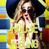 Tim Andresen House Is a Feeling, Vol. 11