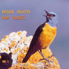Various Artists Oiseaux Solistes (Bird Soloists) Vol. 1