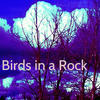 Magik Vitto Birds In a Rock