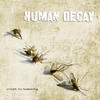Human Decay Credit to Humanity