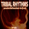 Laser Tribal Rhythms (Percussive Tribal House Beats)