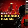 Muddy Waters Hits of Chicago Blues