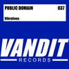 Public Domain Vibrations (Remixes) - EP