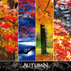 Laurent Dury The Seasons: Autumn