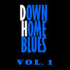 Mississippi Fred Mcdowell Downhome Blues, Vol. 1
