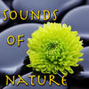 Spirit Sounds of Nature Vol.2