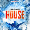 Egohead Deluxe The Sound of House