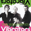 Vibrators Punk Rock Rarities