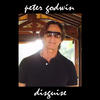 Peter Godwin Disguise - Single