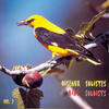 Various Artists Oiseaux Solistes (Bird Soloists) Vol. 2