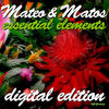 Mateo And Matos Essential Elements