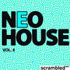 Monoroom Neo House Vol.4